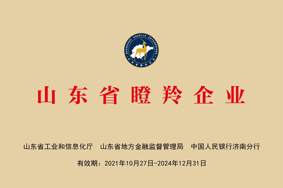 国网中电公司：山东省瞪羚企业